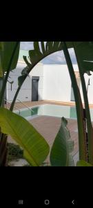 una grande pianta verde di fronte a un edificio di Cordoba Luxury Home a Cordoba