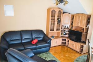 a living room with a leather couch and a television at Apartmaji Krebs in Mežica