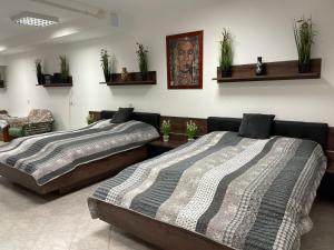 Posteľ alebo postele v izbe v ubytovaní Budapest Wigwam 140 m2