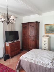 1 dormitorio con cama y vestidor con TV en Maison Carrasserie, en Limoux