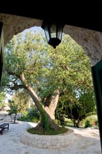 A garden outside Villa Trullo Panorama