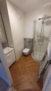 a small bathroom with a shower and a toilet at Dziwnówek Apartament Słoneczne Tarasy in Dziwnówek