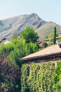 an ivy covered building with a mountain in the background at Hôtel Arcé in Saint-Étienne-de-Baïgorry