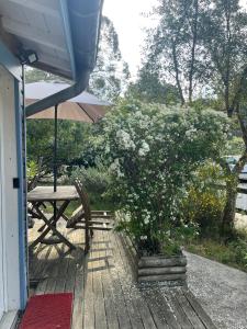 a wooden deck with a table and an umbrella at Le Petit Havre in Lacanau-Océan