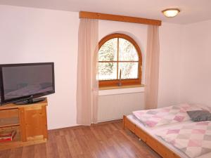 TV o dispositivi per l'intrattenimento presso Apartment Conny-1 by Interhome
