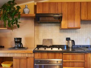 Kuchyň nebo kuchyňský kout v ubytování Apartment Casa Maria - LIE140 by Interhome