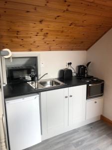 cocina con fregadero y microondas en Lough Aduff Lodge 5 minutes from Carrick on Shannon, en Leitrim