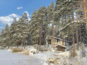 TorvoilaにあるHoliday Home Villa ulappa by Interhomeの雪に覆われた木々の森の小屋