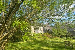 a bench sitting in the grass under a tree at The Rose Barn, Ysgubor y Rhosyn in Llandysul +22 photos