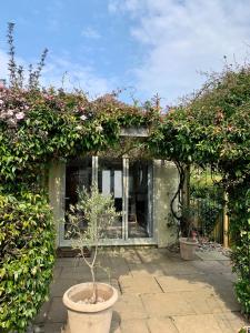 una casa con una maceta en un jardín en The Nest en Sway