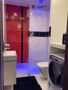 a bathroom with a shower with a toilet and a sink at Apartament Miodowa 9 in Zwierzyniec