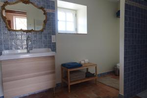 a bathroom with a tub and a sink and a mirror at Près des châteaux de la Loire et du zoo de Beauval in Céré-la-Ronde