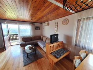 ein Wohnzimmer mit einem Sofa und einem TV in der Unterkunft Vineyard Holidays Cottage with Jacuzzi in Metlika