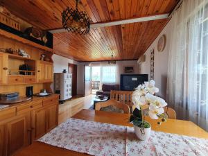 Galeriebild der Unterkunft Vineyard Holidays Cottage with Jacuzzi in Metlika