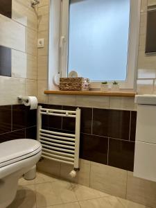 a bathroom with a toilet and a window at MK Hornik Apartament in Kowary