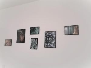 Fotografie z fotogalerie ubytování Guesthouse Tree Rooms Modern v Bergamu