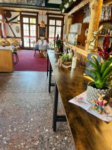 een kamer met een lange houten tafel met planten erop bij Gasthof & Pension "Schwarzer Adler" in Masserberg