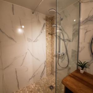 La salle de bains est pourvue d'une douche avec une porte en verre. dans l'établissement Joli T4 rénové climatisé entre St Charles/le Vieux-port, à Marseille