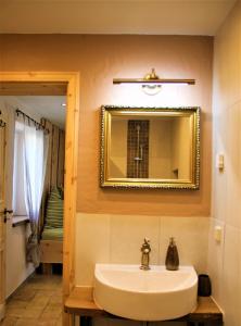 La salle de bains est pourvue d'un lavabo et d'un miroir. dans l'établissement Casa No7- piano terra, à Naumbourg