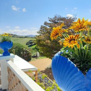 Naturlandschaft in der Nähe des Bed & Breakfasts
