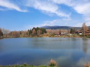 ein großer See mit Häusern und Bäumen im Hintergrund in der Unterkunft Fewo Bayerischer Wald, mit Wlan in Arrach