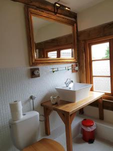 a bathroom with a sink and a toilet and a mirror at Fischerhus Lütt Hauke 69 qm Traudel in Altwarp