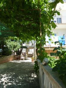 Fotografie z fotogalerie ubytování Apartments Kresović v destinaci Vodice