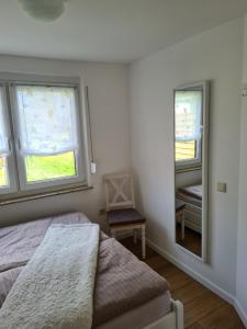 1 Schlafzimmer mit einem Bett, 2 Fenstern und einem Spiegel in der Unterkunft Ferienhaus am See in Jabel