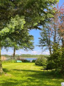 ein Park mit einer Bank im Gras in der Nähe eines Sees in der Unterkunft Ferienhaus am See in Jabel