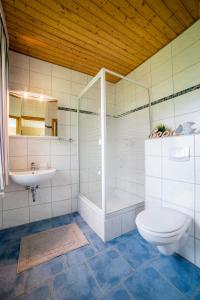 a bathroom with a toilet and a shower and a sink at "Ferienhof Seelust" Ferienwohnung Rose in Gammendorf