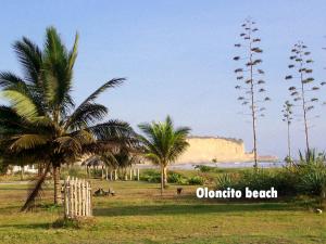 a beach with palm trees and a castle in the background at Hostal Oloncito in Olón