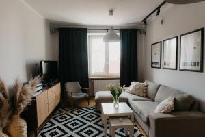 a living room with a couch and a tv at Flathouse Apartment Centrum in Białystok