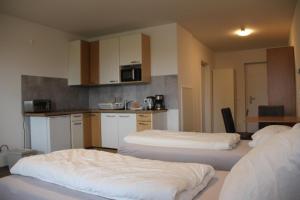 Kuchyň nebo kuchyňský kout v ubytování Workers Appartements Kreuzwirt