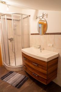 a bathroom with a sink and a shower with a mirror at Appartement Höllwarthof in Goldegg