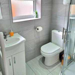 a bathroom with a toilet and a sink and a mirror at Lovely central studio/2bed - 5min to train station in Slough