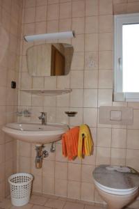 a bathroom with a sink and a toilet at Haus Panorama in Reith im Alpbachtal