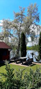 - une table de pique-nique en face d'un arbre et d'un lac dans l'établissement Vikendica DRINSKI DAR, à Mali Zvornik