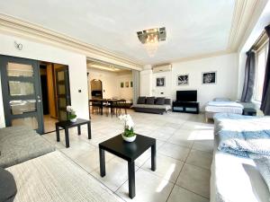 アントワープにあるCentral Park Apartmentsのソファとテーブルのあるリビングルーム