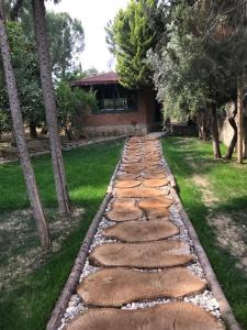 a stepping stone pathway in a yard with trees at Paradise Manavgat in Manavgat
