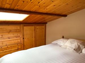 a bedroom with a bed and a skylight at Ai house boutique in Castel di Sangro