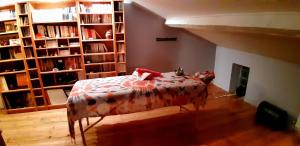 een kamer met een bed in een kamer met boekenplanken bij Le Clos'art in Vinassan