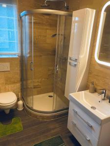 a bathroom with a shower and a toilet and a sink at Villa007 in Zamárdi