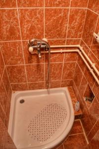 Koupelna v ubytování Apartman Jovanovic-Rudnik