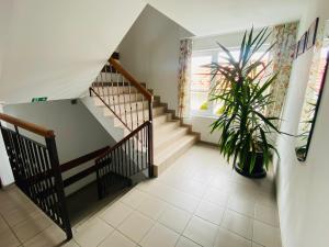 米泽德沃兹Villa Horyzont的相册照片