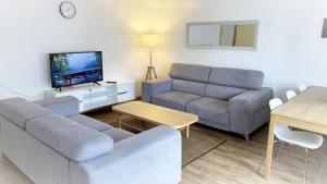 a living room with a couch and a tv at Holiday Apartments Falke in Brienz
