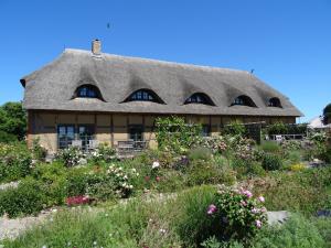 a house with a thatched roof and a field of flowers at Gut Alt Farpen Ferienwohnung 4 in Blowatz