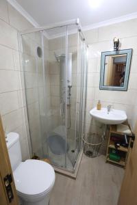Un baño con ducha, inodoro y lavabo. en Casa Imperatriz, en Vilar de Ledra