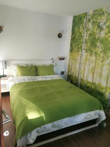 a bedroom with a green bed with a window at Domek nad jeziorem in Łąck