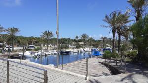 un porto turistico con barche in acqua e palme di Villa su due livelli super accessoriata a SantʼAnna Arresi