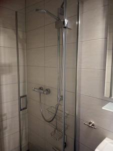 a shower with a shower head in a bathroom at Kleines Nest in Radebeul